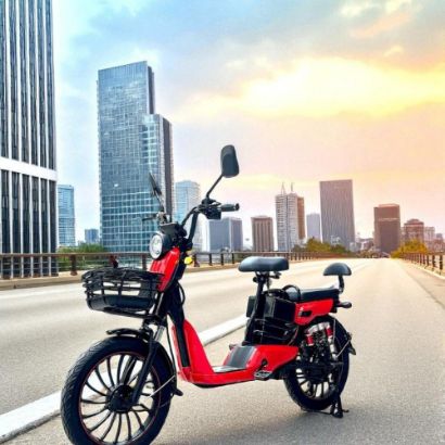 صورة دراجة كهربائية عملية بمقعدين وسلة أمامية